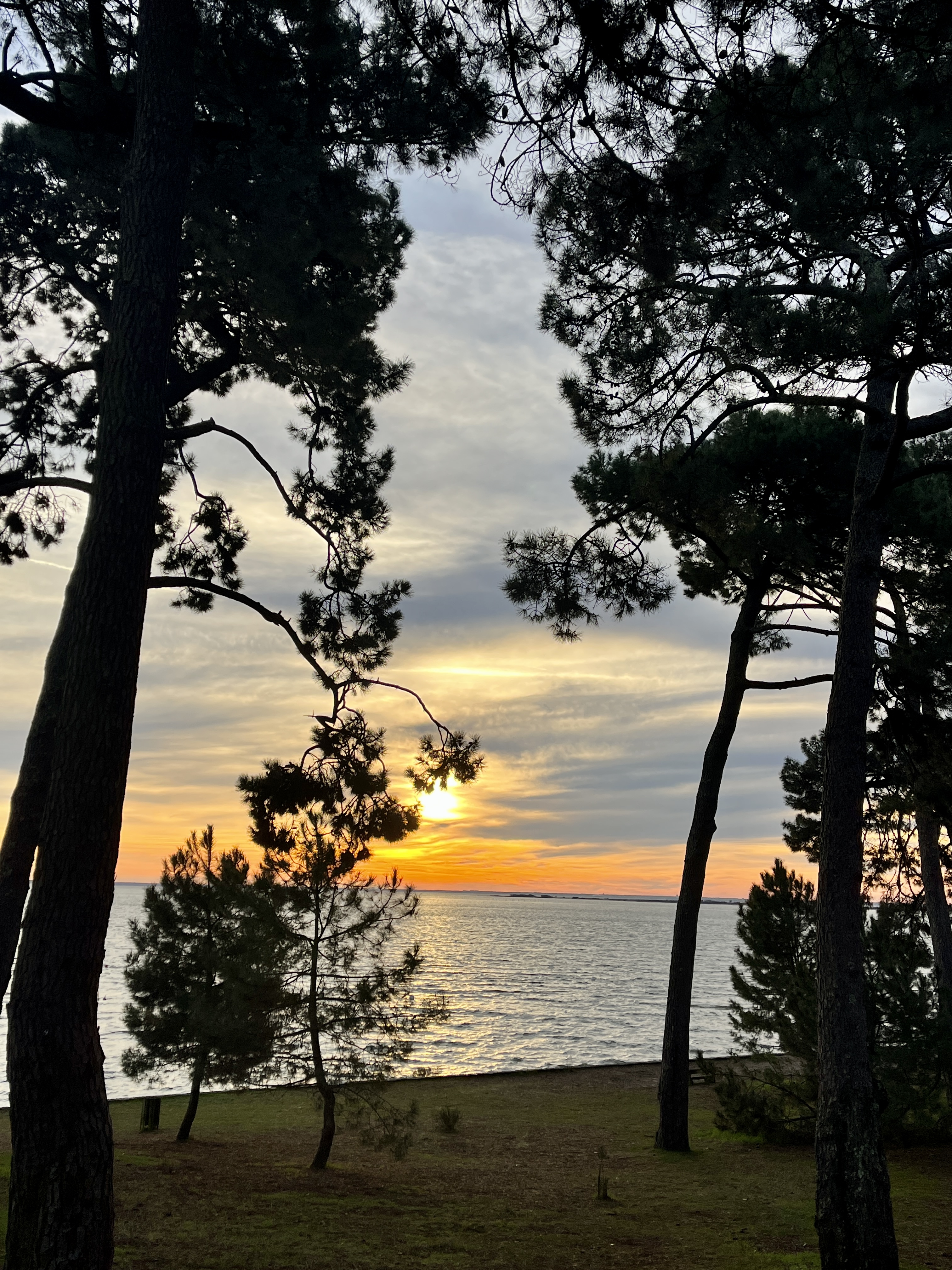 Image à droite la pointe aux chevaux 